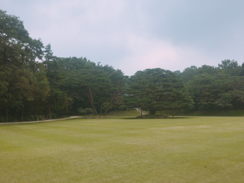 5ee72aef8e0db7eaaa2584d51b49fc64_1509003